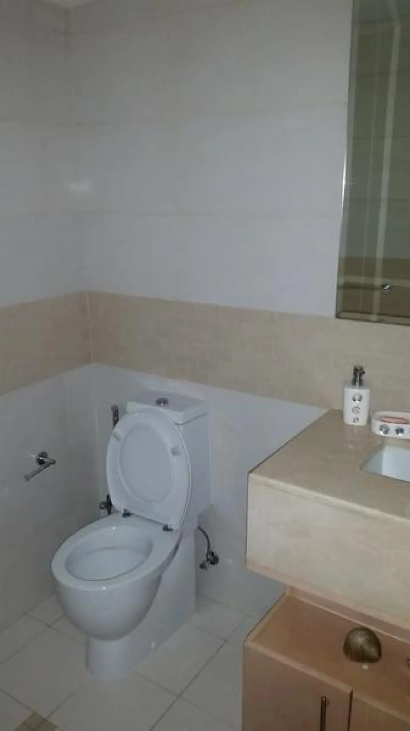 Park Island 2 chambres avec une vue fantastique sur la Marina – Appartement Dubai (5/13)