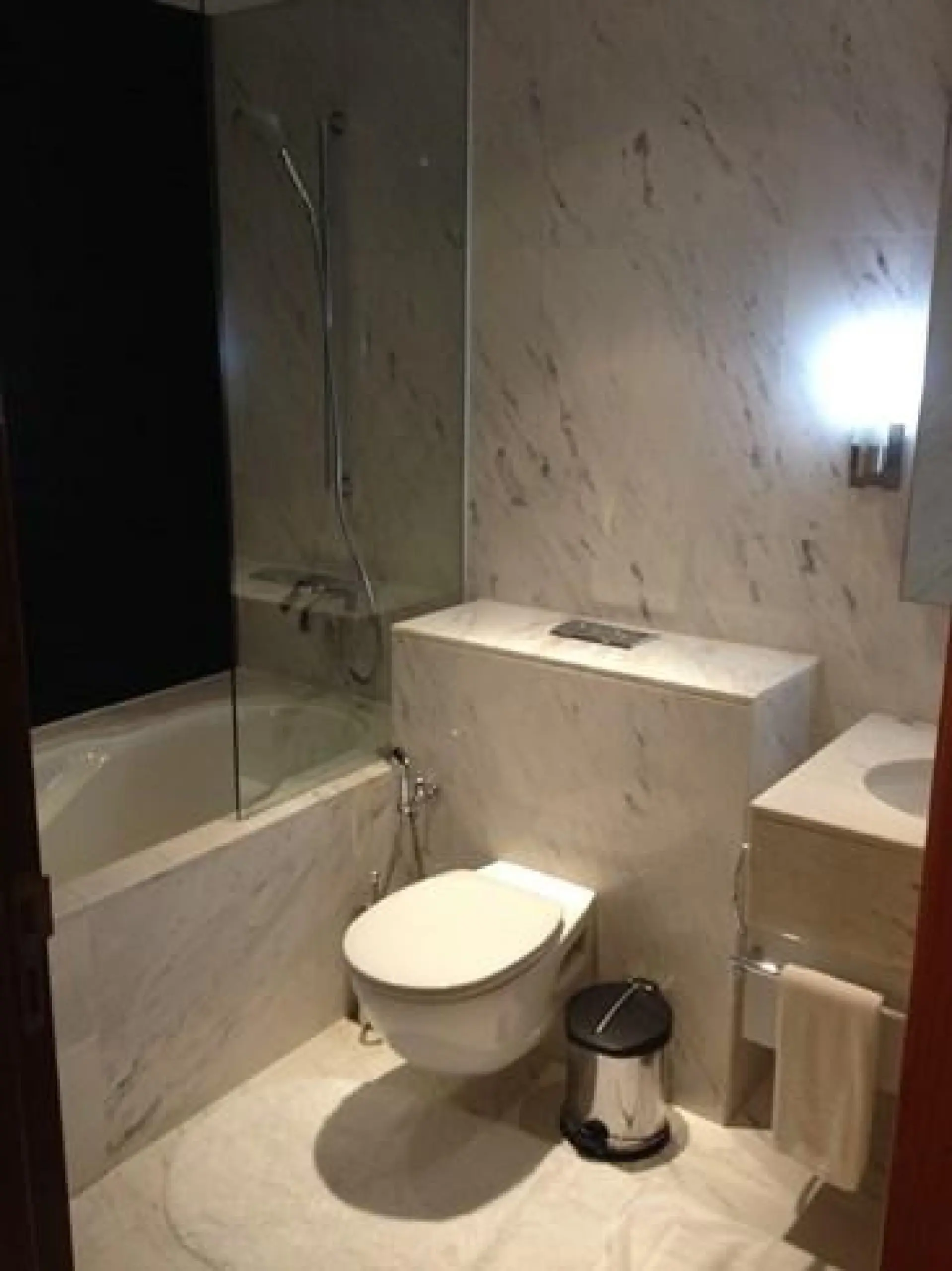 Grand studio meublé à The Address Dubai Mall Hotel – Appartement Dubai (2/3)