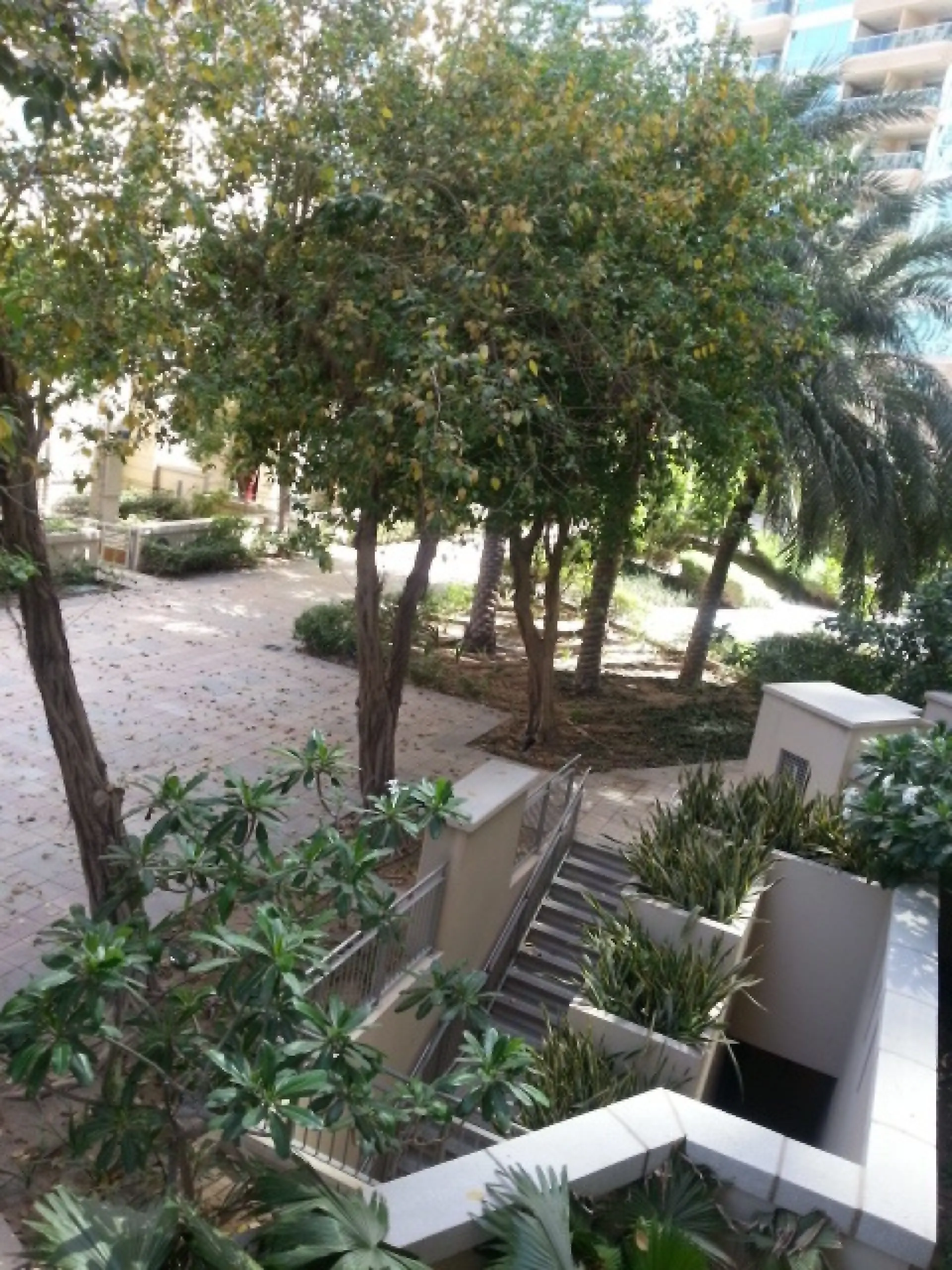 Superbe suite à louer sur la Marina – Appartement Dubai (11/15)