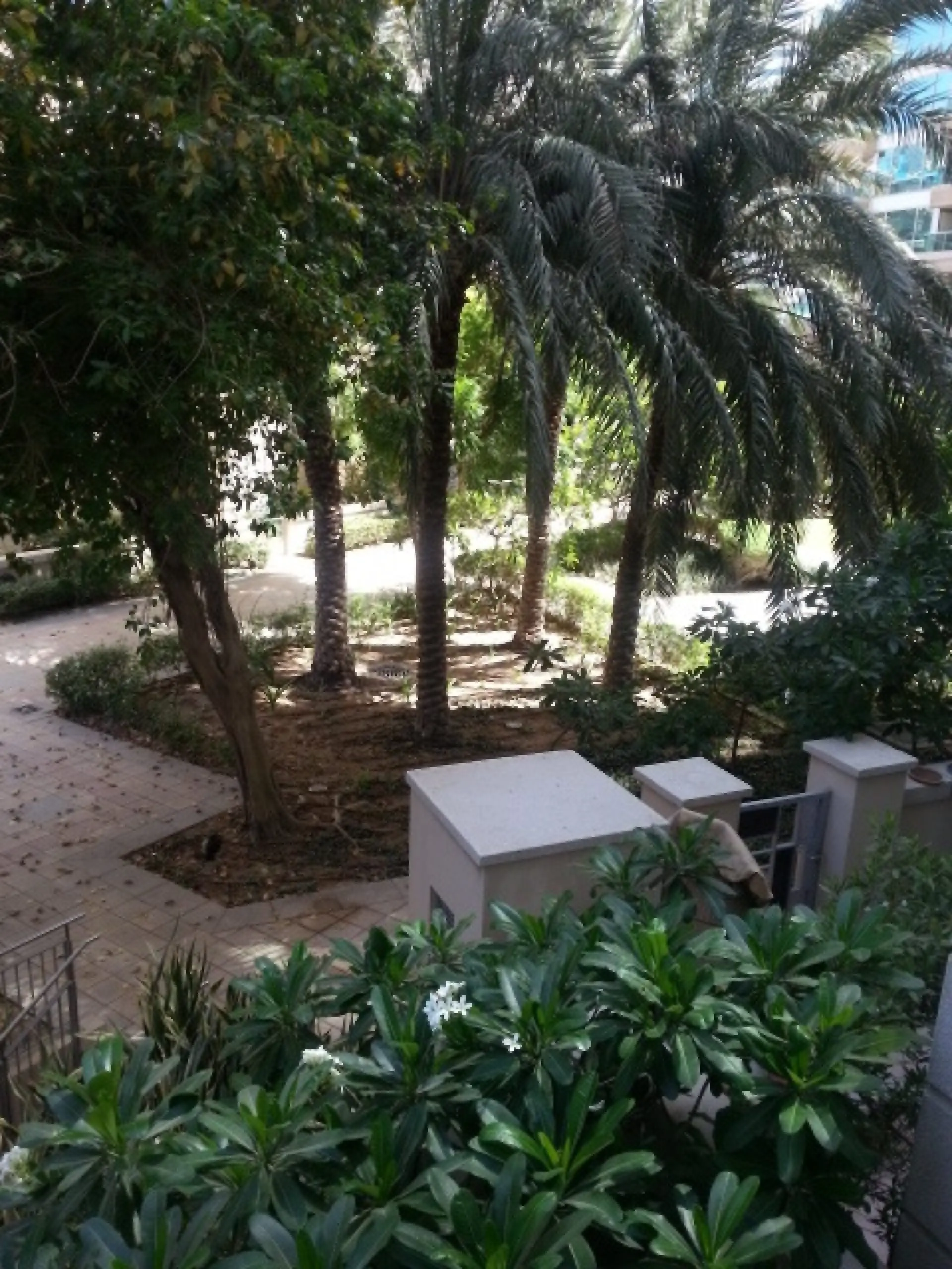 Superbe suite à louer sur la Marina – Appartement Dubai (12/15)