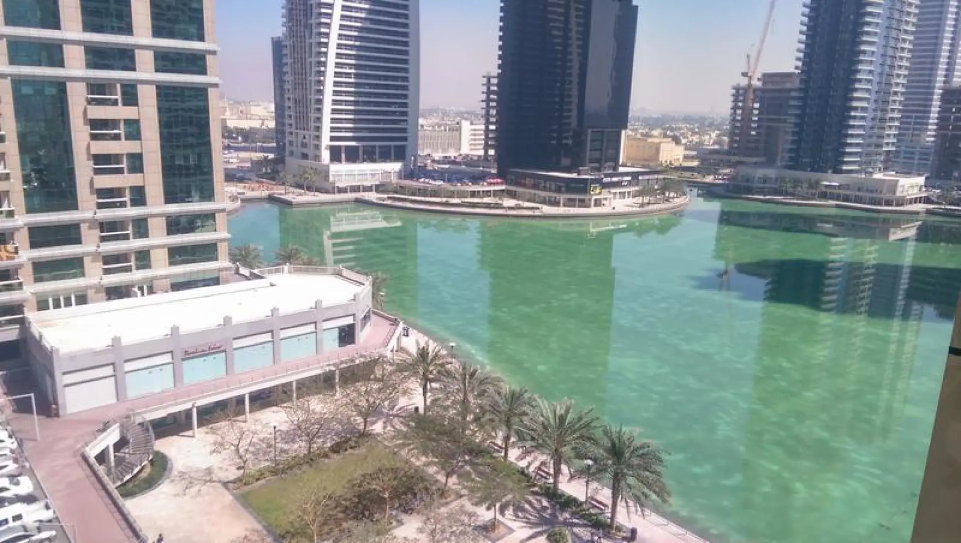 1 CH vue sur le lac, Lake City Tower, JLT – Appartement Dubai (5/9)