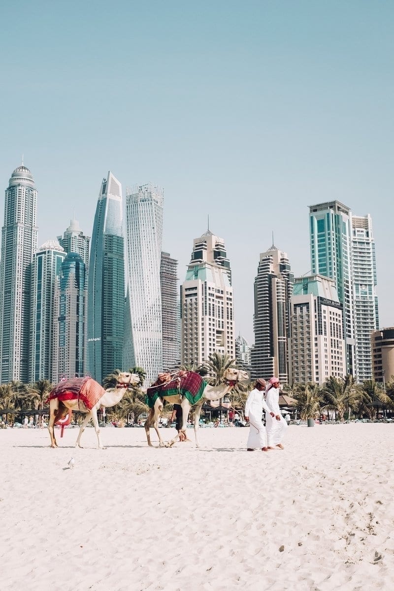 arabian ranches - Immobilier Dubai