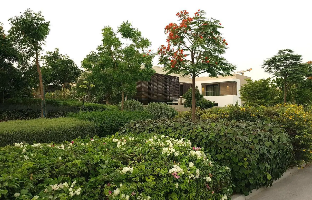 Grande Villa de luxe 5 chambres avec jardin et piscine – Villa Dubai (15/20)