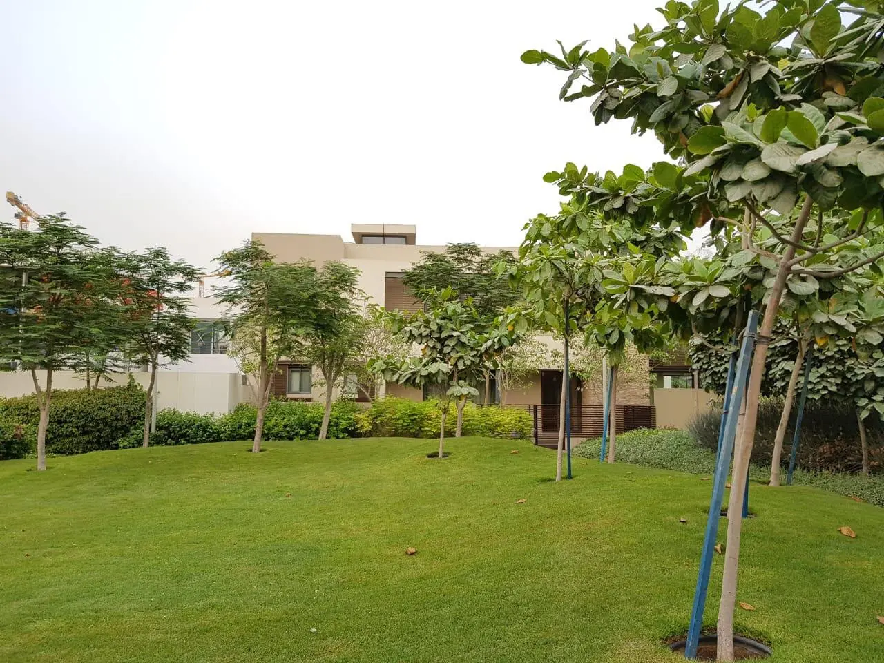 Grande Villa de luxe 5 chambres avec jardin et piscine – Villa Dubai (17/20)