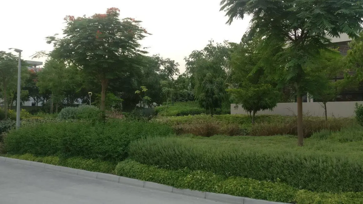 Grande Villa de luxe 5 chambres avec jardin et piscine – Villa Dubai (20/20)