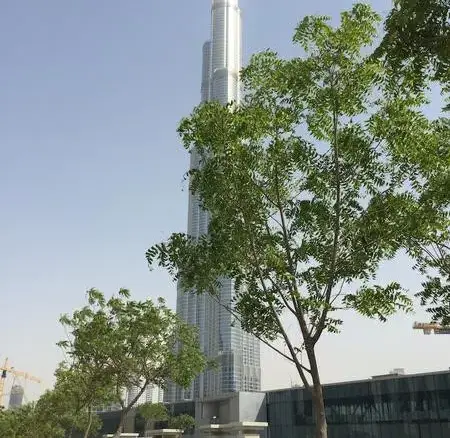 3 chambres à Address Sky Views avec vue pleine sur Burj/ Fountain – Appartement Dubai (1/10)