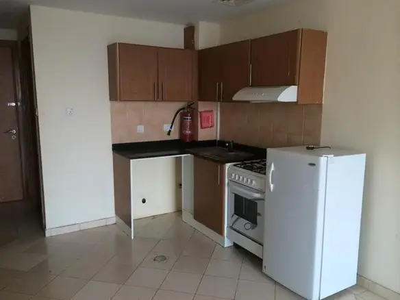 Superbe studio à la vente à petit prix avec vue sur le lac – Appartement Dubai (1/8)