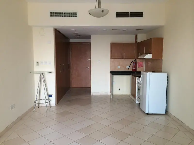 Superbe studio à la vente à petit prix avec vue sur le lac – Appartement Dubai (2/8)