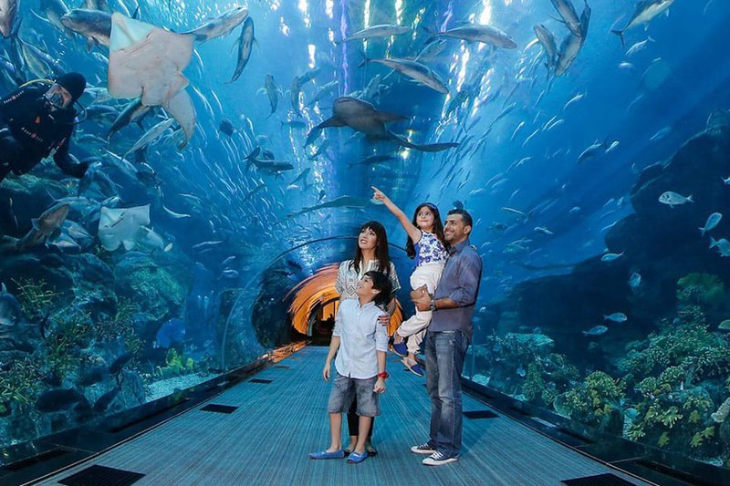 activités pour les enfants à Dubaï : Dubai Aquarium and Underwater Zoo