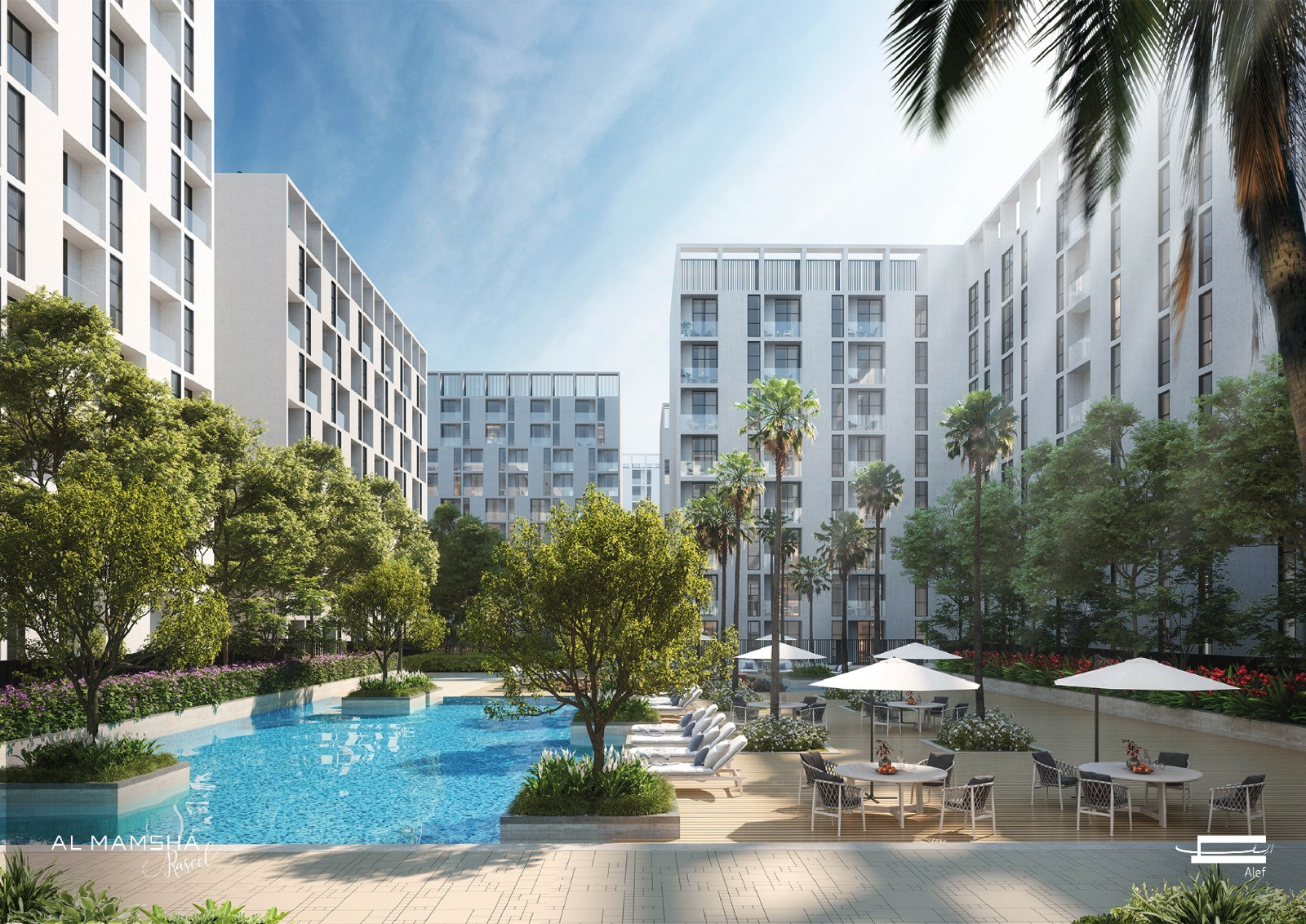 61831-WhatsApp-Image-2024-06-12-at-13.18.06-1