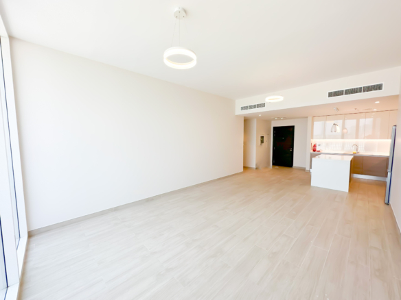 65349 IMG 9262 - Immobilier Dubai