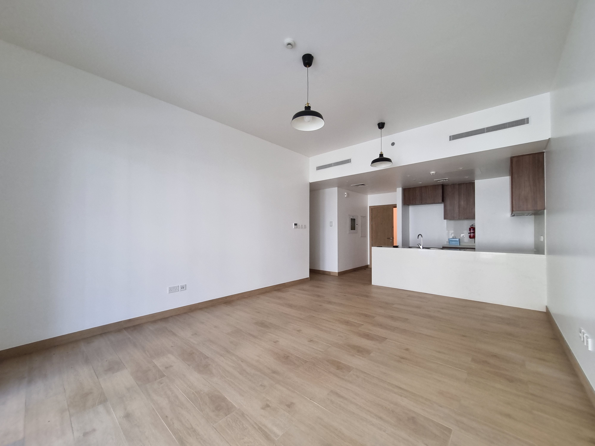 71333-20240830_151642