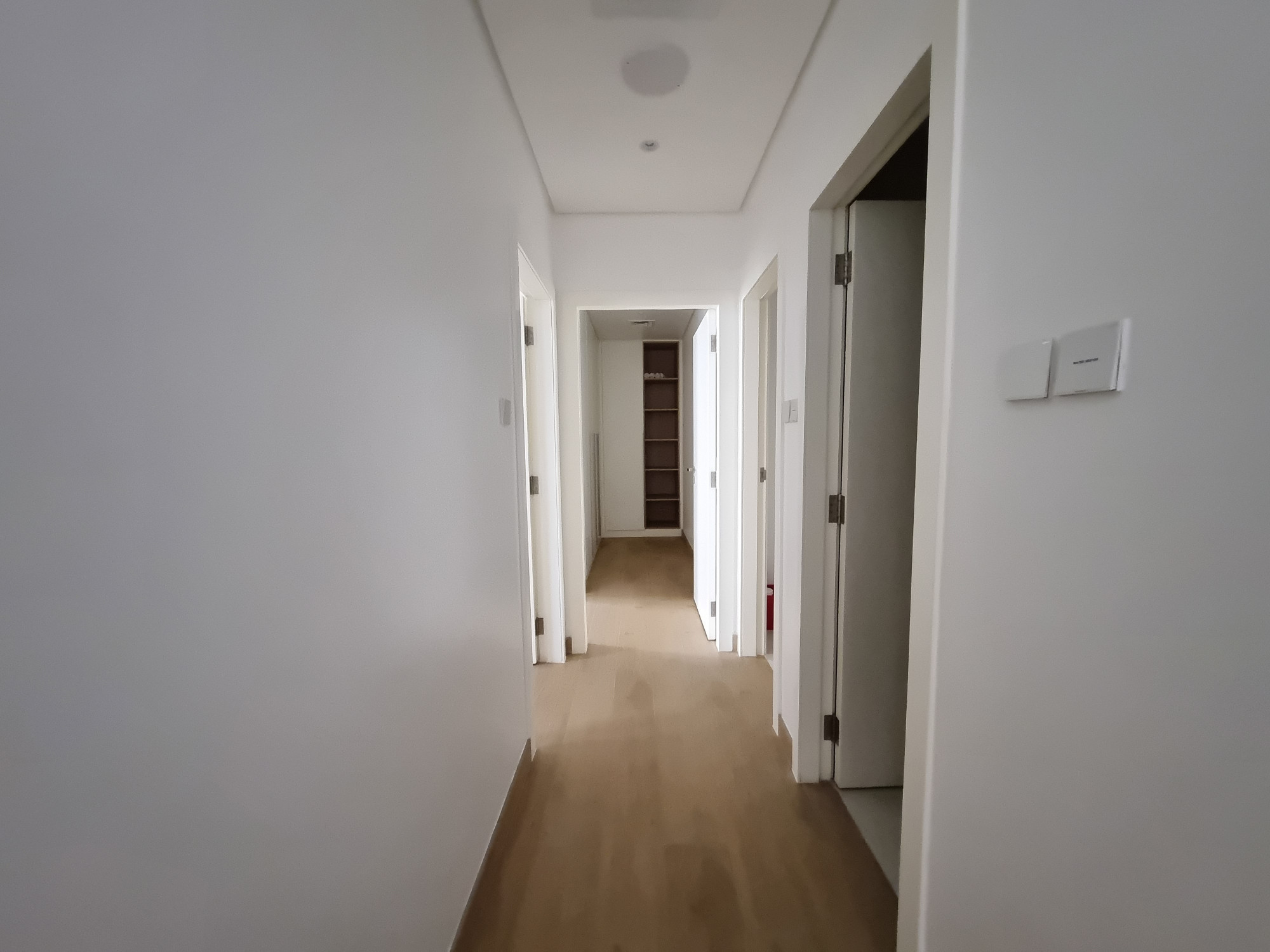 71339-20240830_151704