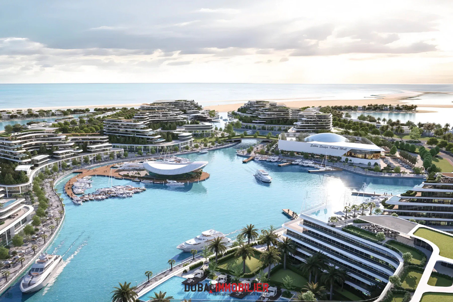 Investir à Umm Al Quwain : Le Nouveau Joyau de l’Investissement aux Émirats Arabes Unis 5 - Dubai Immobilier Investir à Umm Al Quwain : Le Nouveau Joyau de l’Investissement aux Émirats Arabes Unis cover