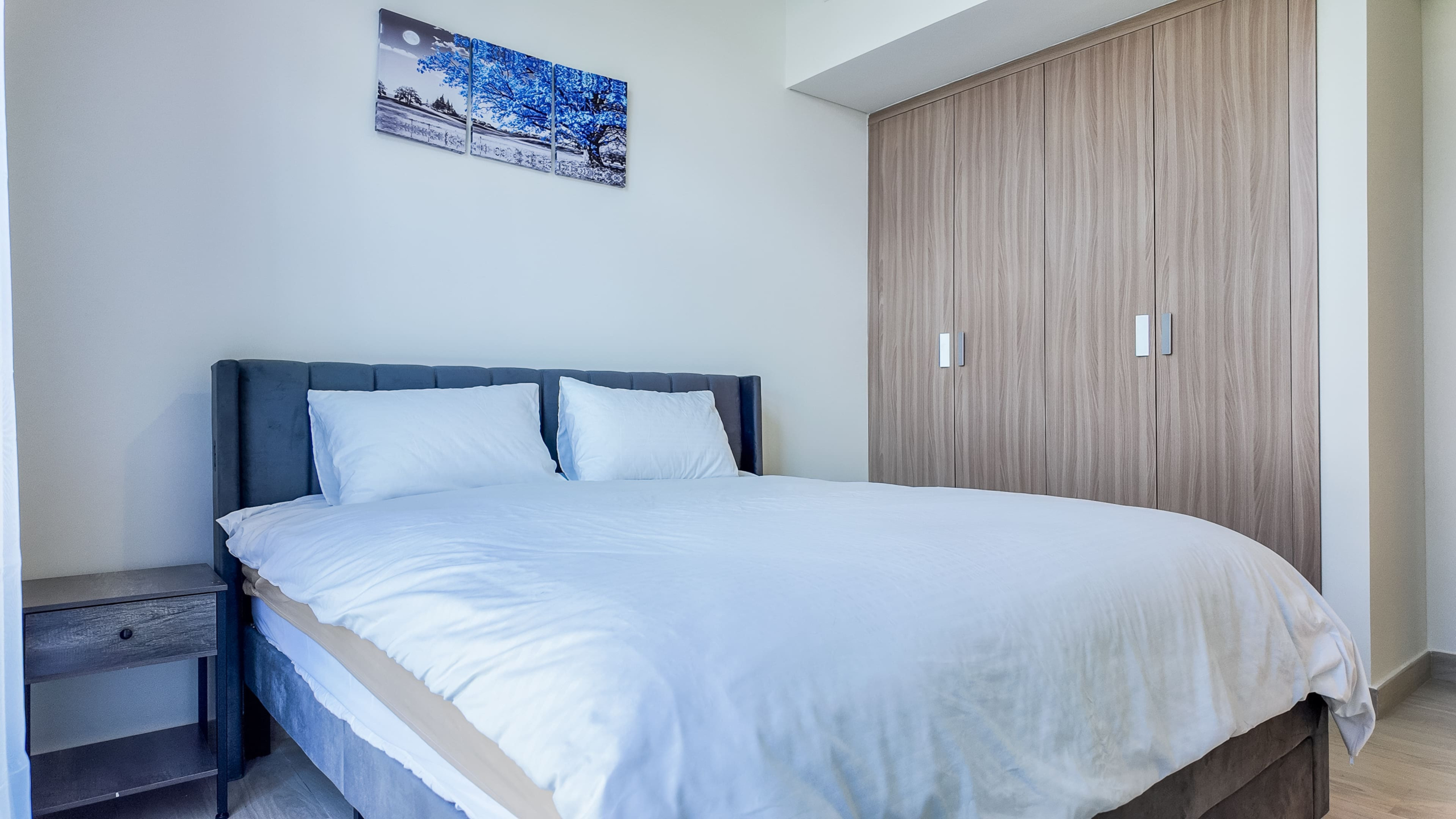 80990-dji_mimo_20241220_120048_20241220120047_1734682755349_photo