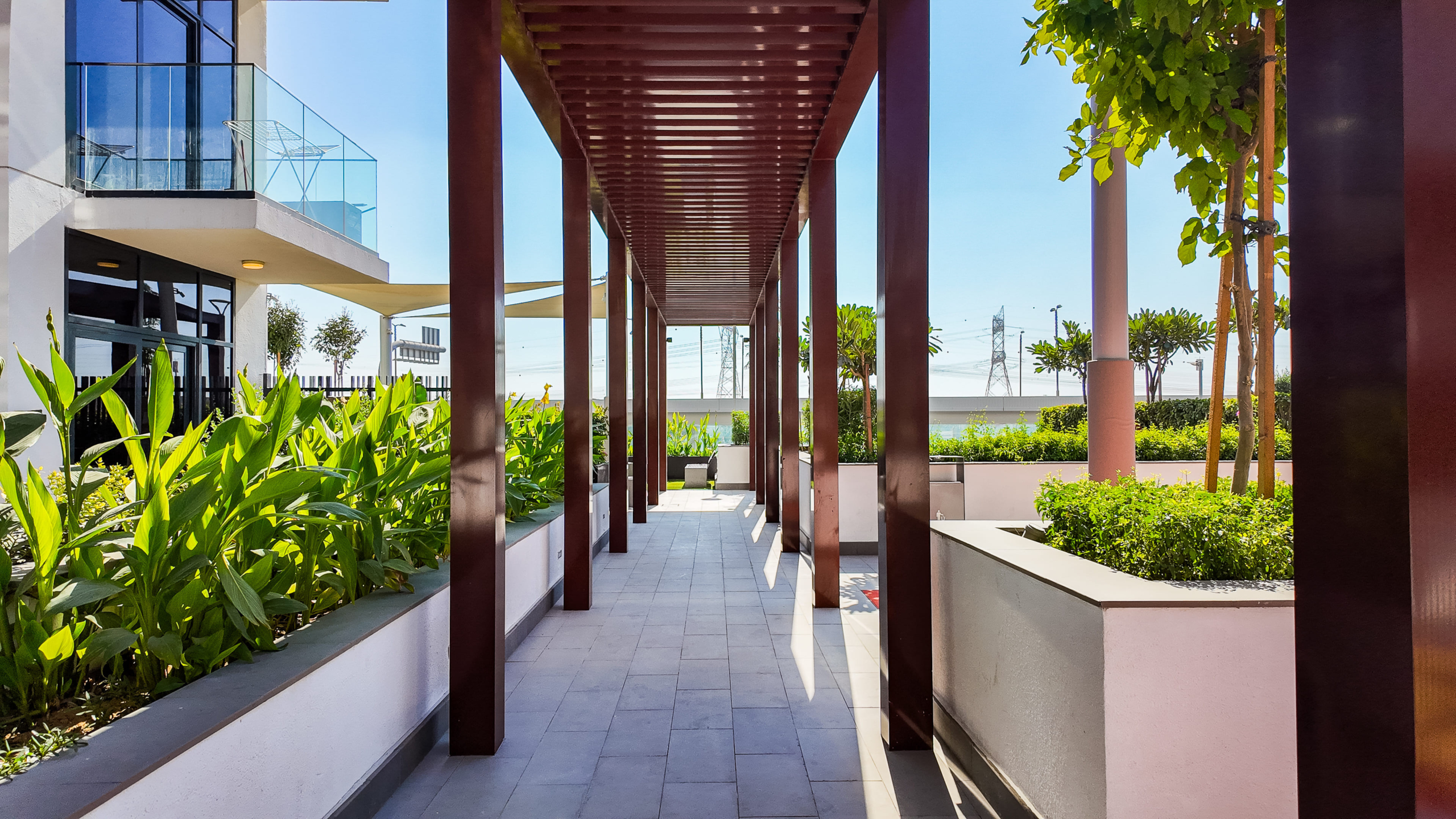 81007-dji_mimo_20241220_120422_20241220120421_1734682752893_photo