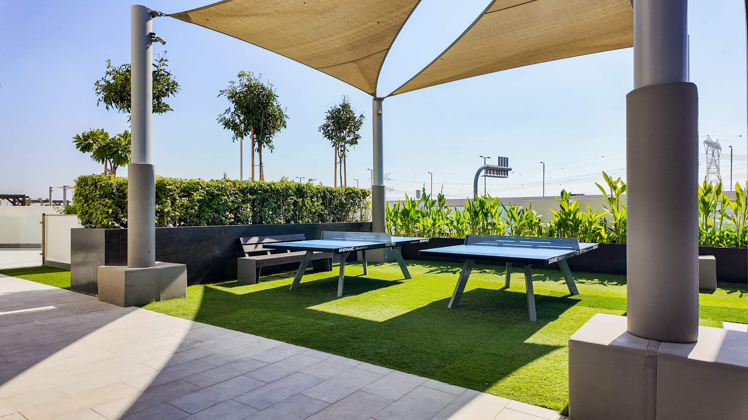 81008-dji_mimo_20241220_120432_20241220120432_1734682752709_photo-min