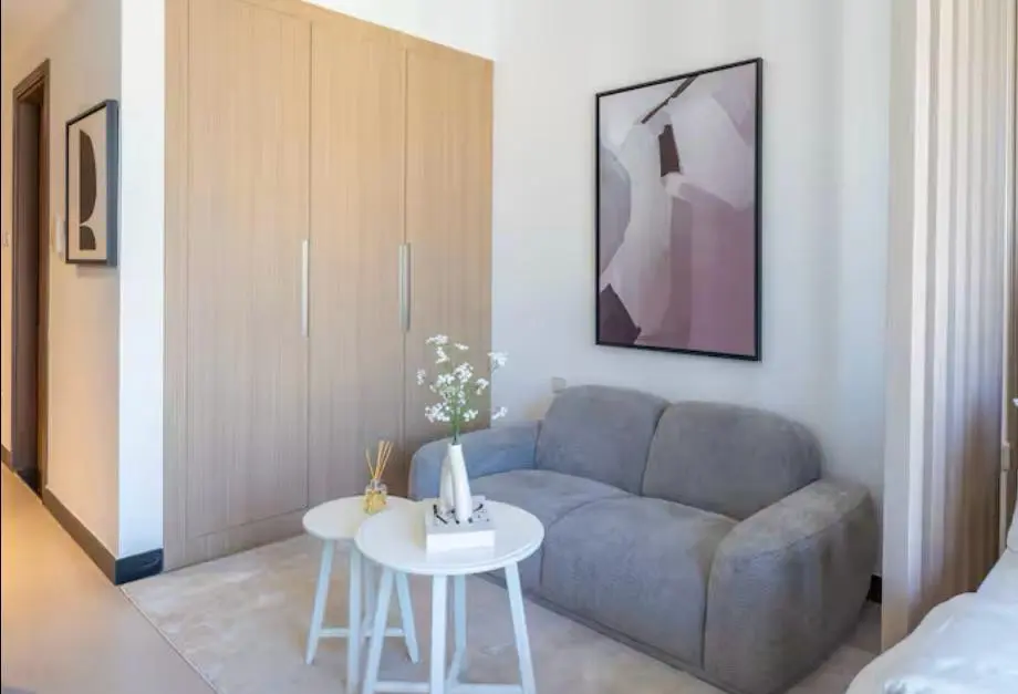 ENTIÈREMENT MEUBLÉ | VOT | STUDIO COSY | IDÉAL POUR L'INVESTISSEMENT – Appartement Dubai (10/20)