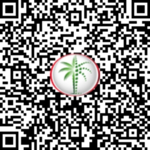 IG Dubai - Immobilier Dubai