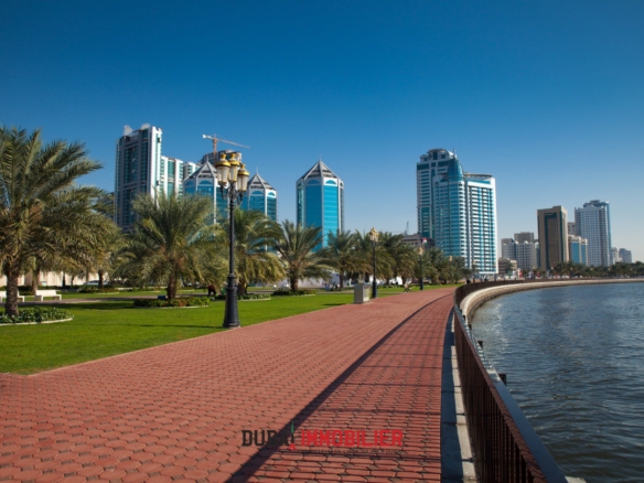 Le Marché Immobilier de Sharjah Démarre 2025 en Force : Transactions en Hausse de 80 % en Janvier cover