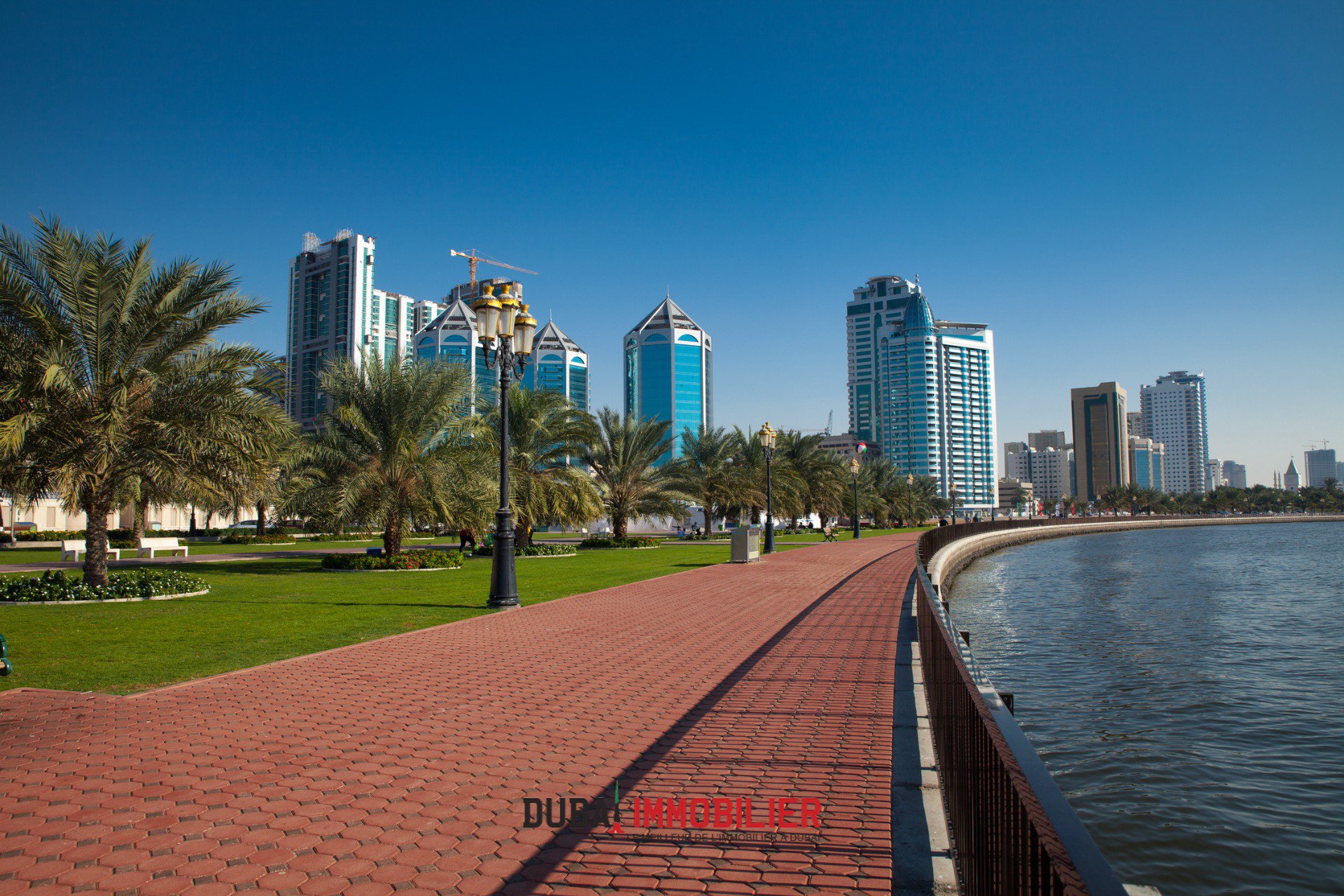 Marché Immobilier de Sharjah Démarre en Force : +80 % de Transactions en Janvier 2025 1 - Dubai Immobilier Le Marché Immobilier de Sharjah Démarre 2025 en Force : Transactions en Hausse de 80 % en Janvier cover