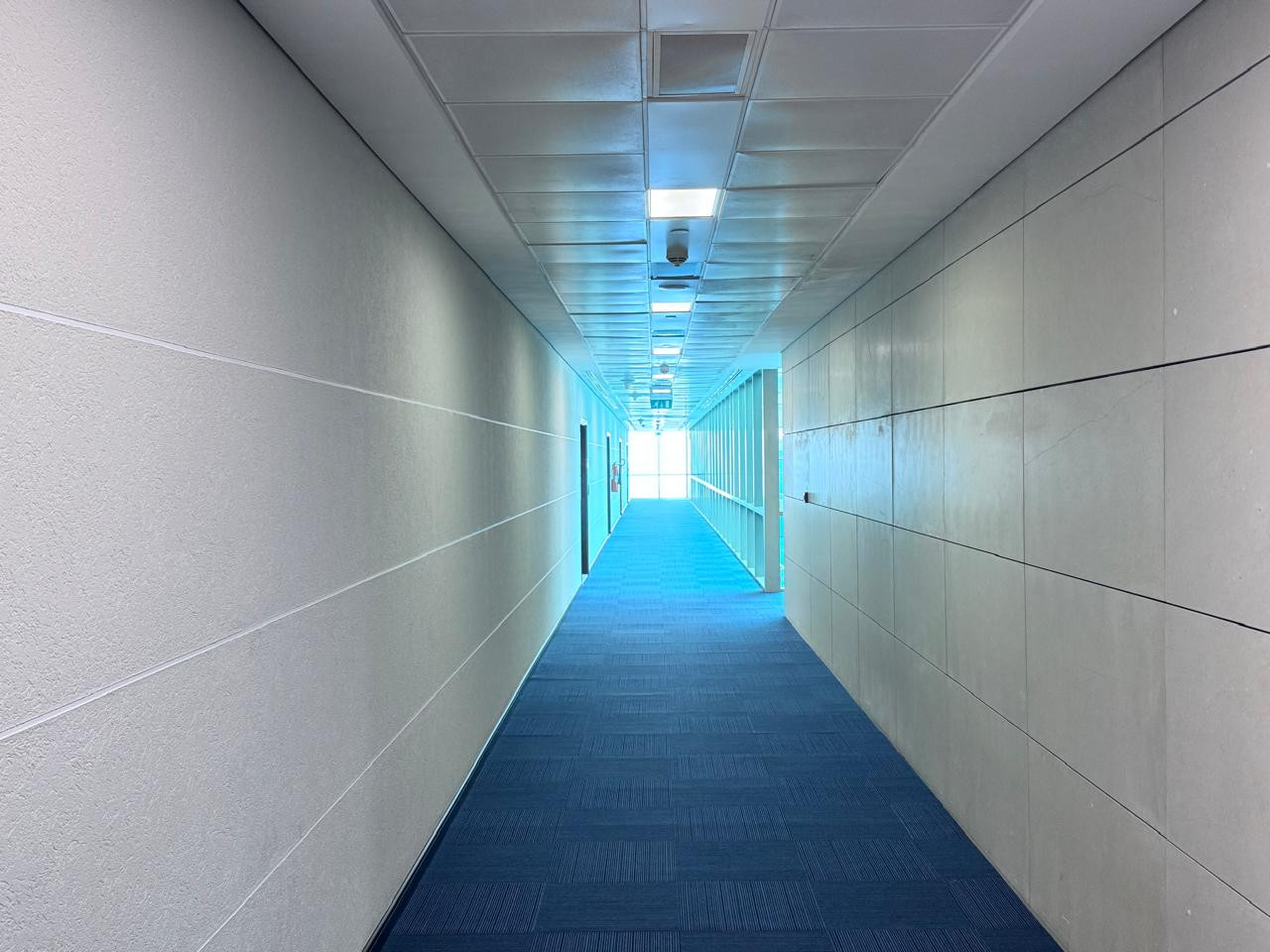 92674-WhatsApp-Image-2025-05-20-at-10.53.59-AM