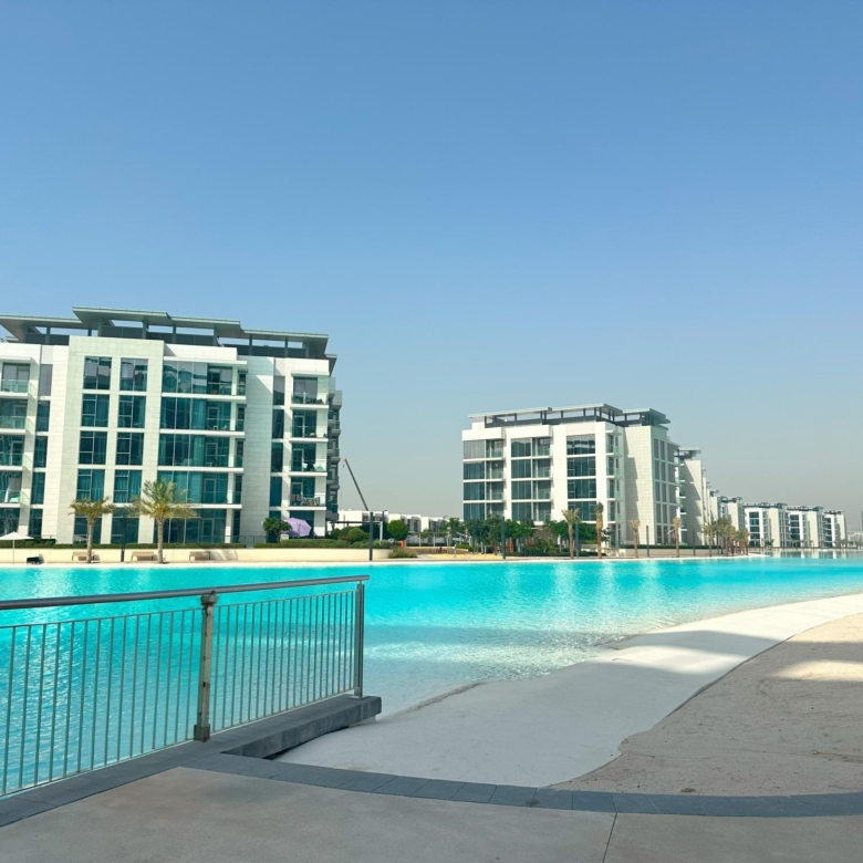 98344 IMG 7853 - Immobilier Dubai