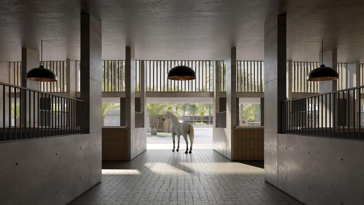 107918-WhatsApp-Image-2025-11-03-at-12.20.59-1-Photoroom-1