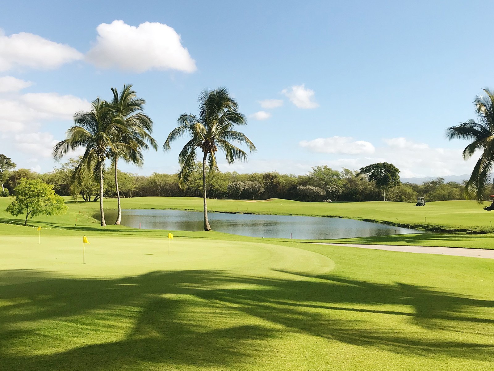 112976-Golf_Gate_2-Gallery-12