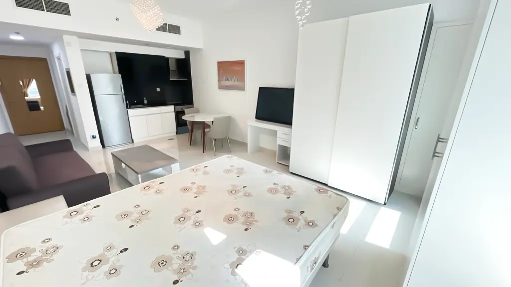 OFFRE INVESTISSEUR | STUDIO MEUBLÉ MODERNE | LOUÉ – Appartement dubai (3/11)