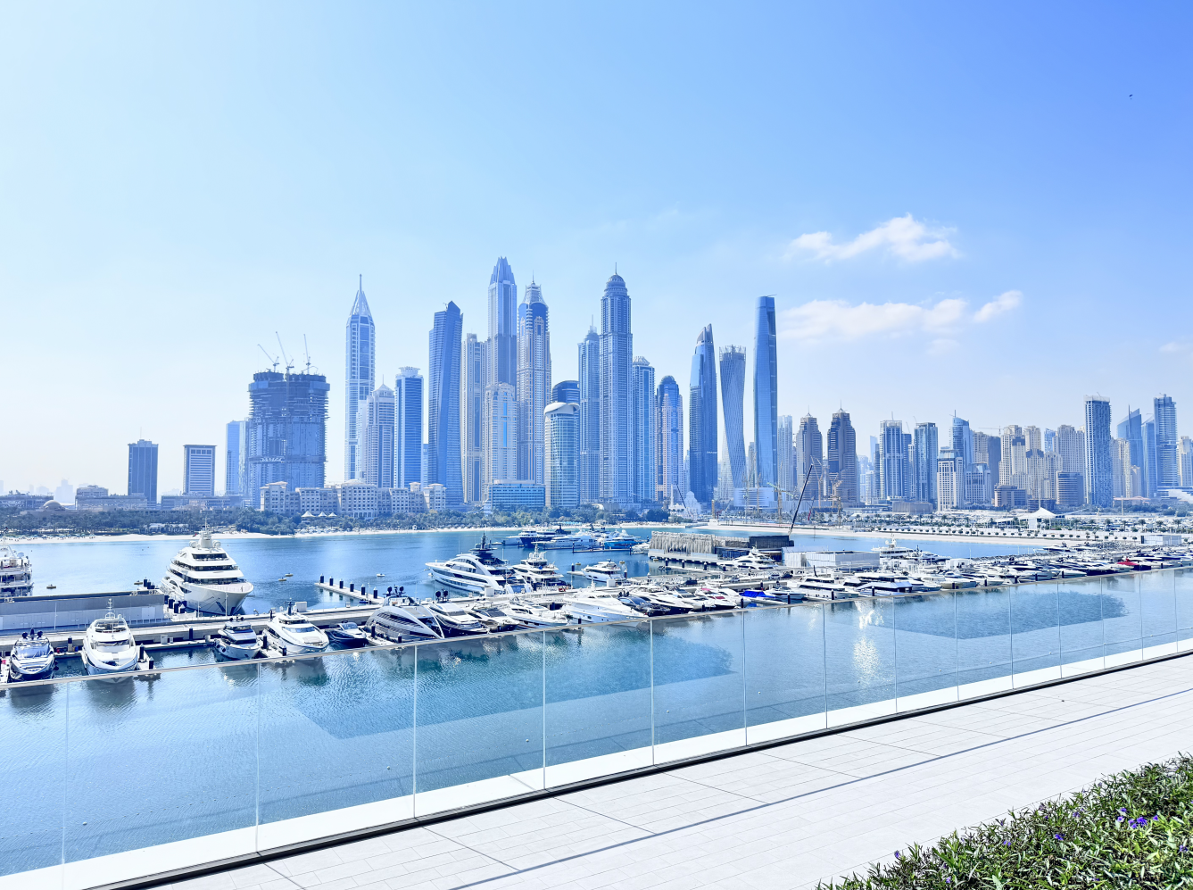 115275 Screenshot 2026 01 08 103647 - Immobilier Dubai