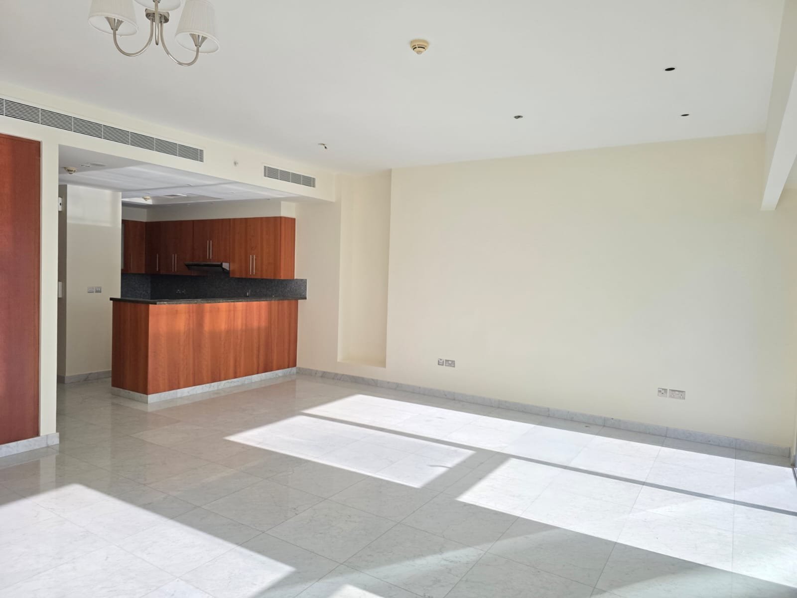 120726-WhatsApp-Image-2026-02-13-at-4.06.11-PM-1