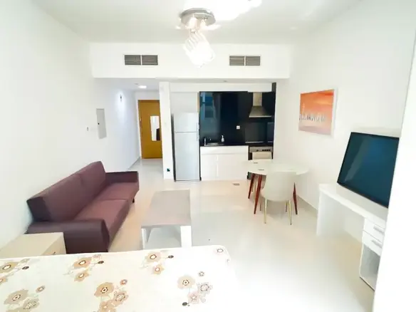 OFFRE INVESTISSEUR | STUDIO MODERNE MEUBLÉ | LOUÉ – Appartement Dubai (1/9)