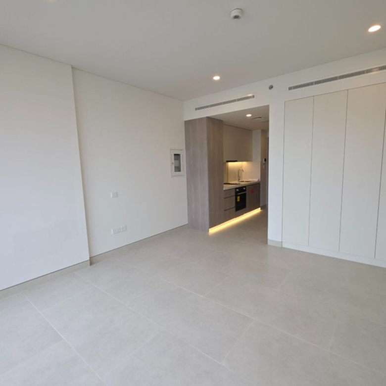 132226 original 26 - Immobilier Dubai