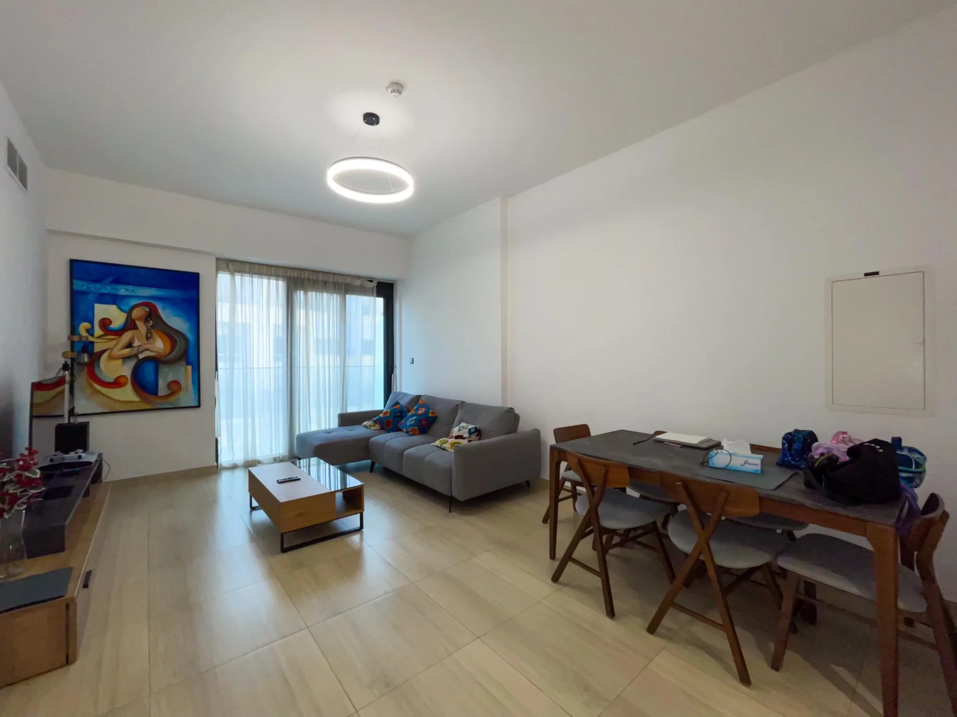 GRAND AGENCEMENT - VACANT - MEUBLÉ – Appartement Dubai (5/30)