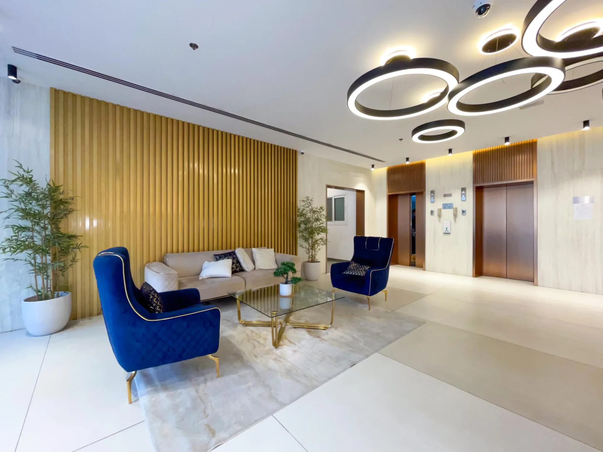 GRAND AGENCEMENT - VACANT - MEUBLÉ – Appartement Dubai (30/30)