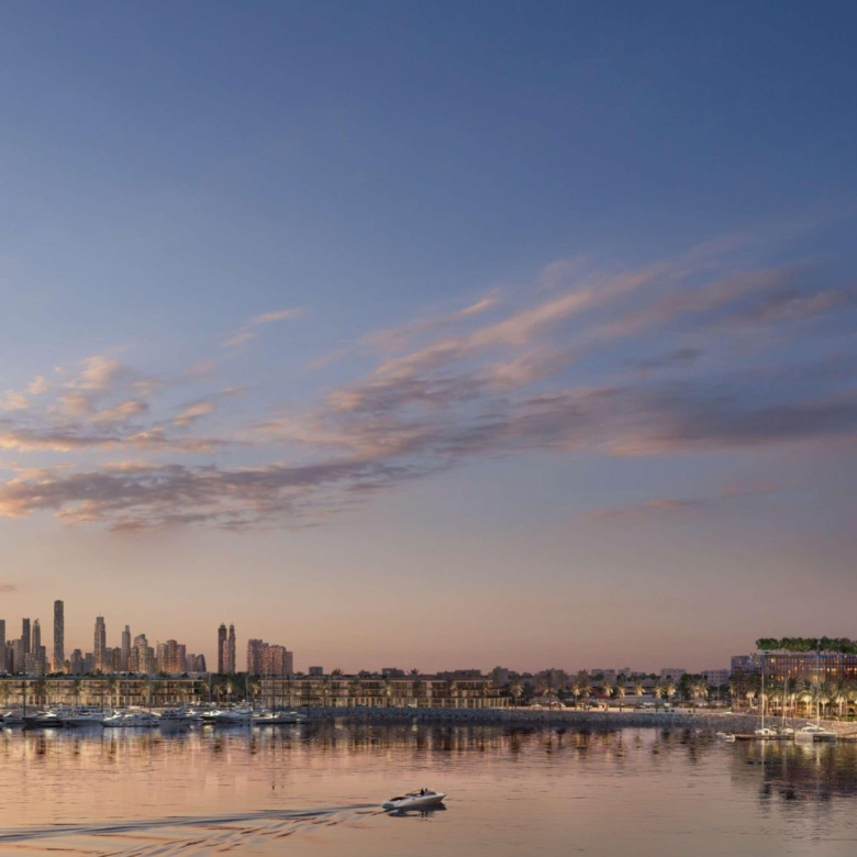69586 img59 - Immobilier Dubai